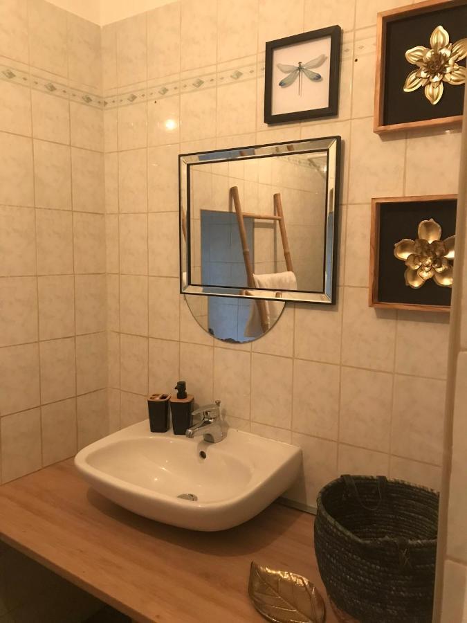 Appartement Cosy Le Safari Avec Wifi アノネー エクステリア 写真