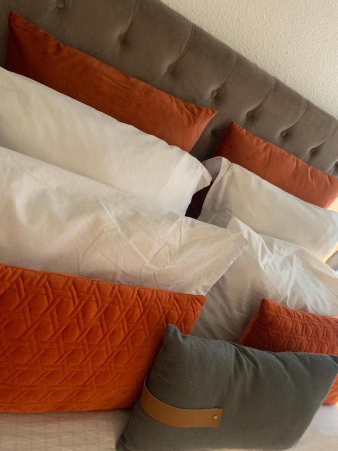 Appartement Cosy Le Safari Avec Wifi アノネー エクステリア 写真